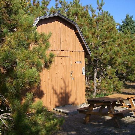 Little Cove Adventures Hotel Тобермори Екстериор снимка
